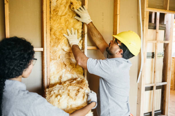 Best Affordable Insulation Services  in Yorkshire, VA